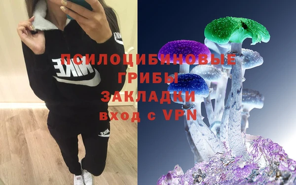 молекула духа Богородск