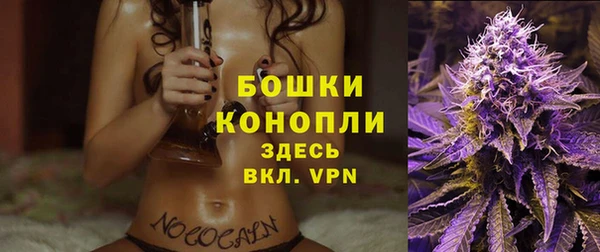 эйфоретик Богданович