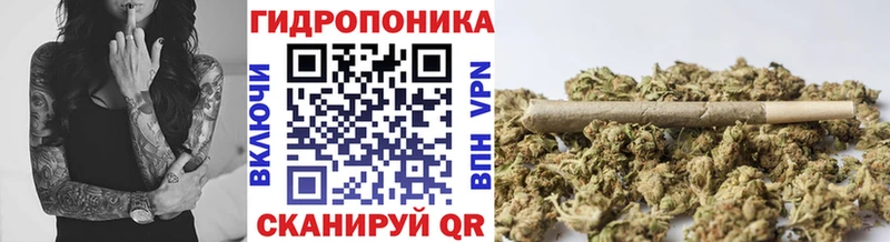 где купить наркотик  Череповец  блэк спрут ссылка  сайты даркнета телеграм  Бошки Шишки планчик 